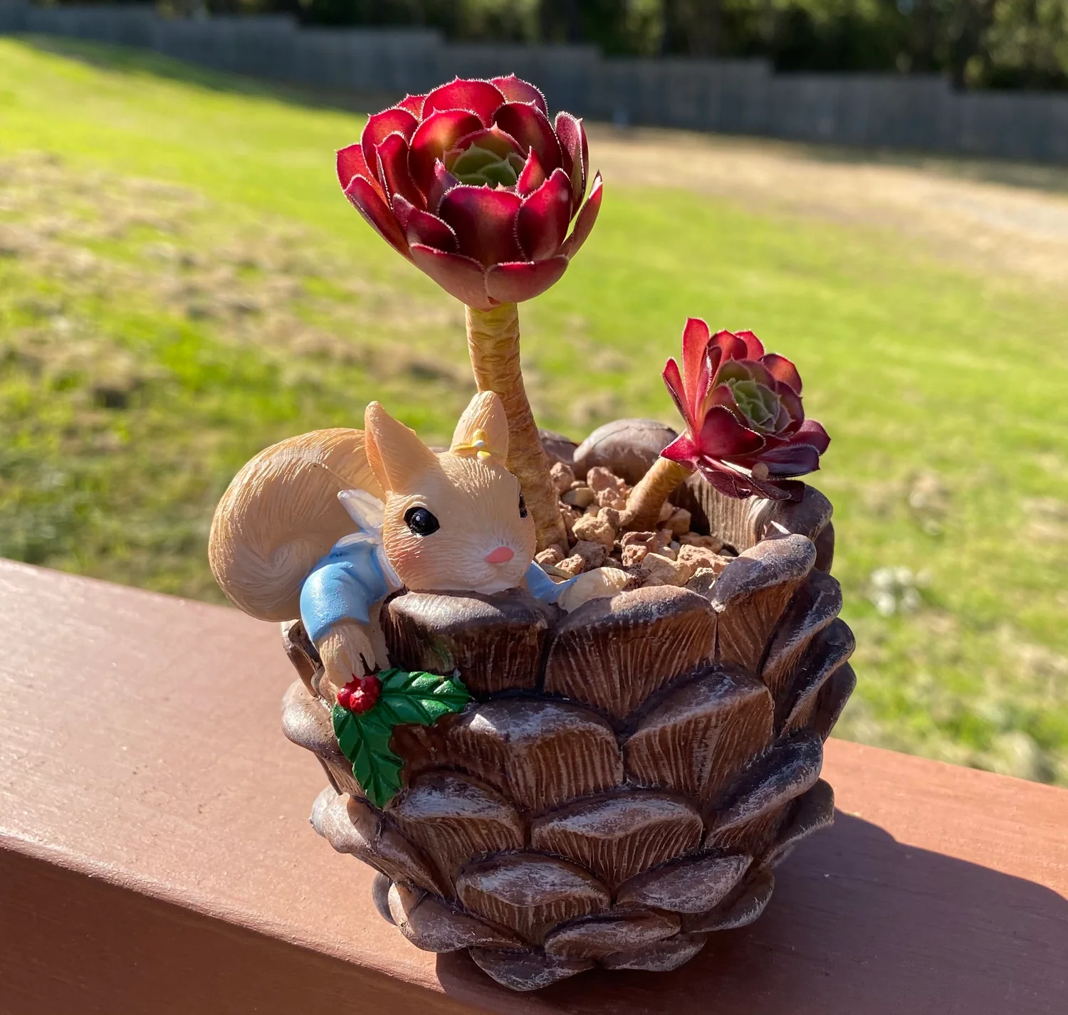 Succulent Garden Collection